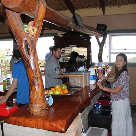 Ostello The Wild Farm Backpackers Wildernis Esterno foto
