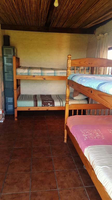 Ostello The Wild Farm Backpackers Wildernis Esterno foto
