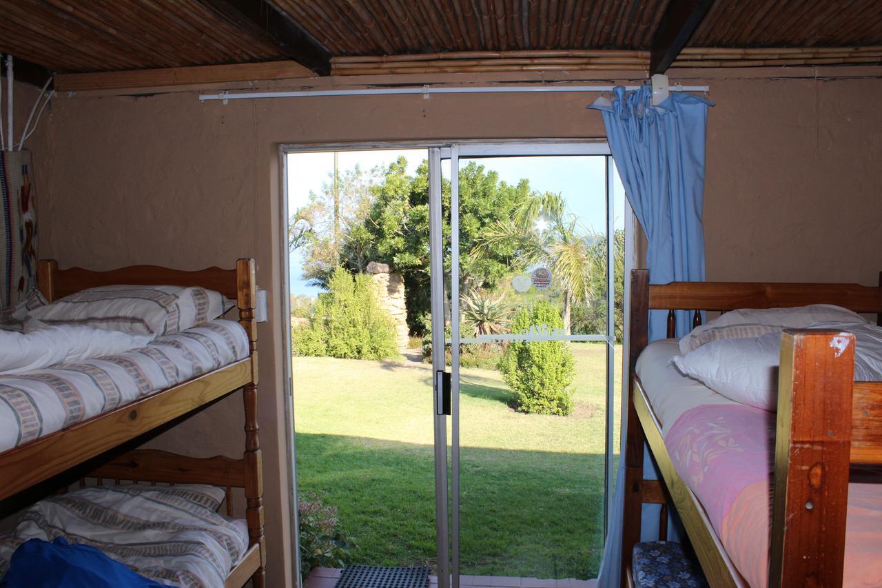 Ostello The Wild Farm Backpackers Wildernis Esterno foto