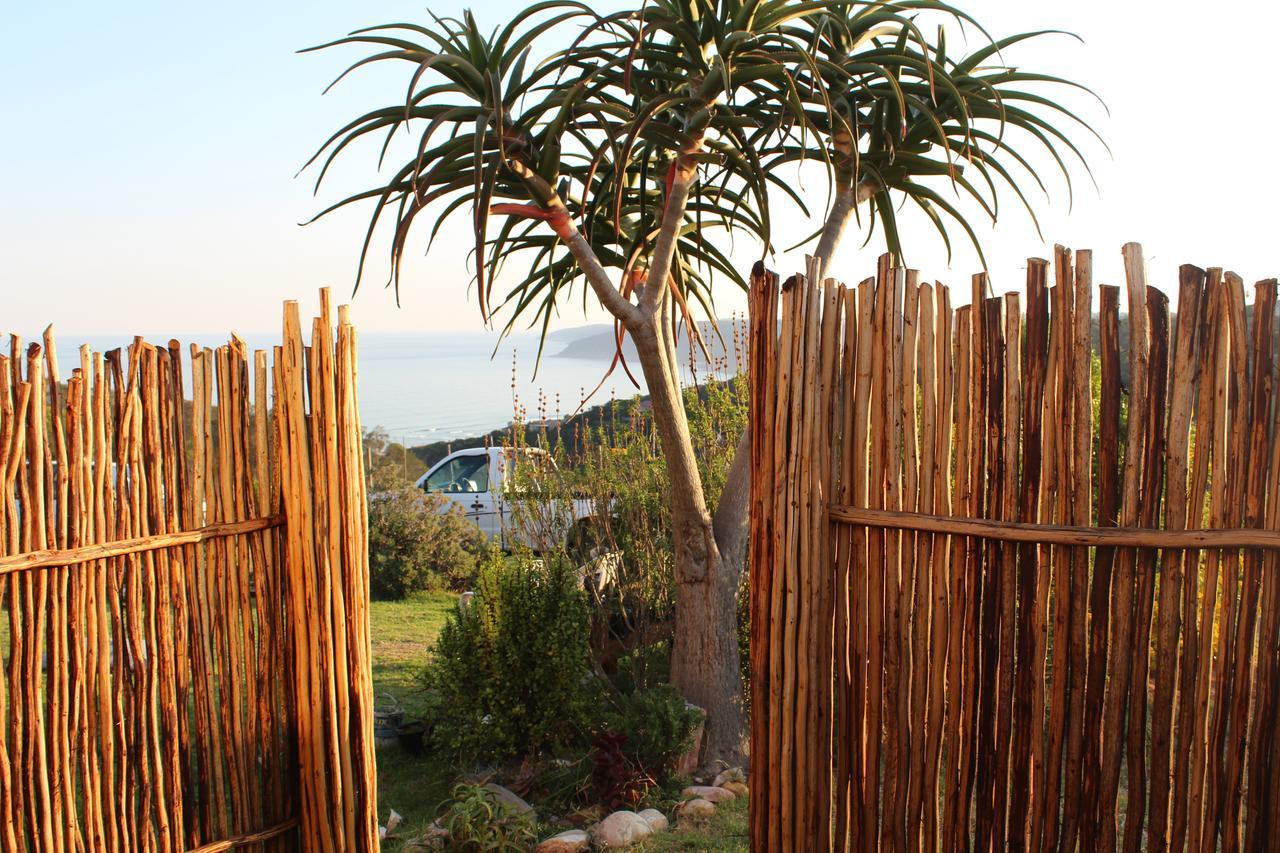 Ostello The Wild Farm Backpackers Wildernis Esterno foto