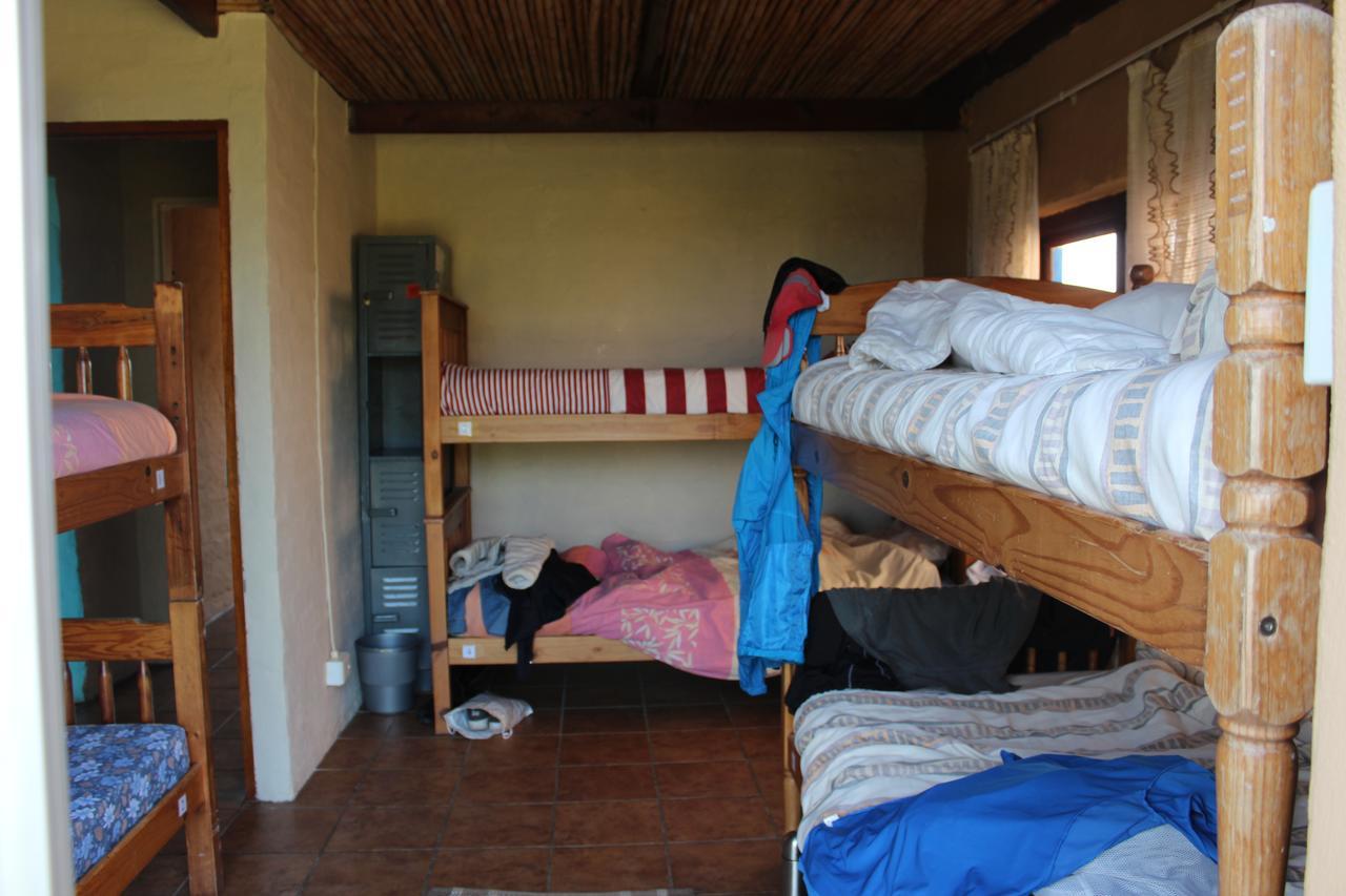 Ostello The Wild Farm Backpackers Wildernis Esterno foto
