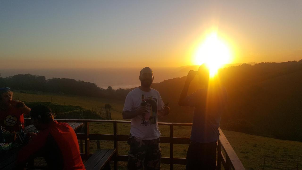 Ostello The Wild Farm Backpackers Wildernis Esterno foto