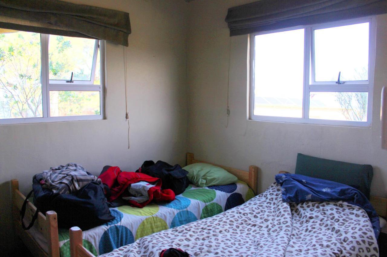 Ostello The Wild Farm Backpackers Wildernis Esterno foto